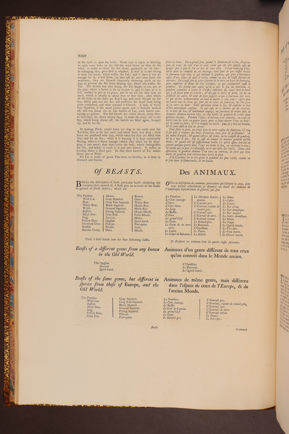 Page xxiv